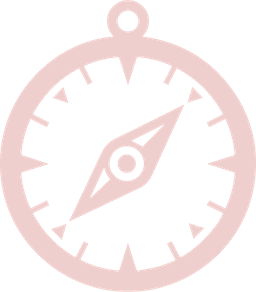 Compass icon